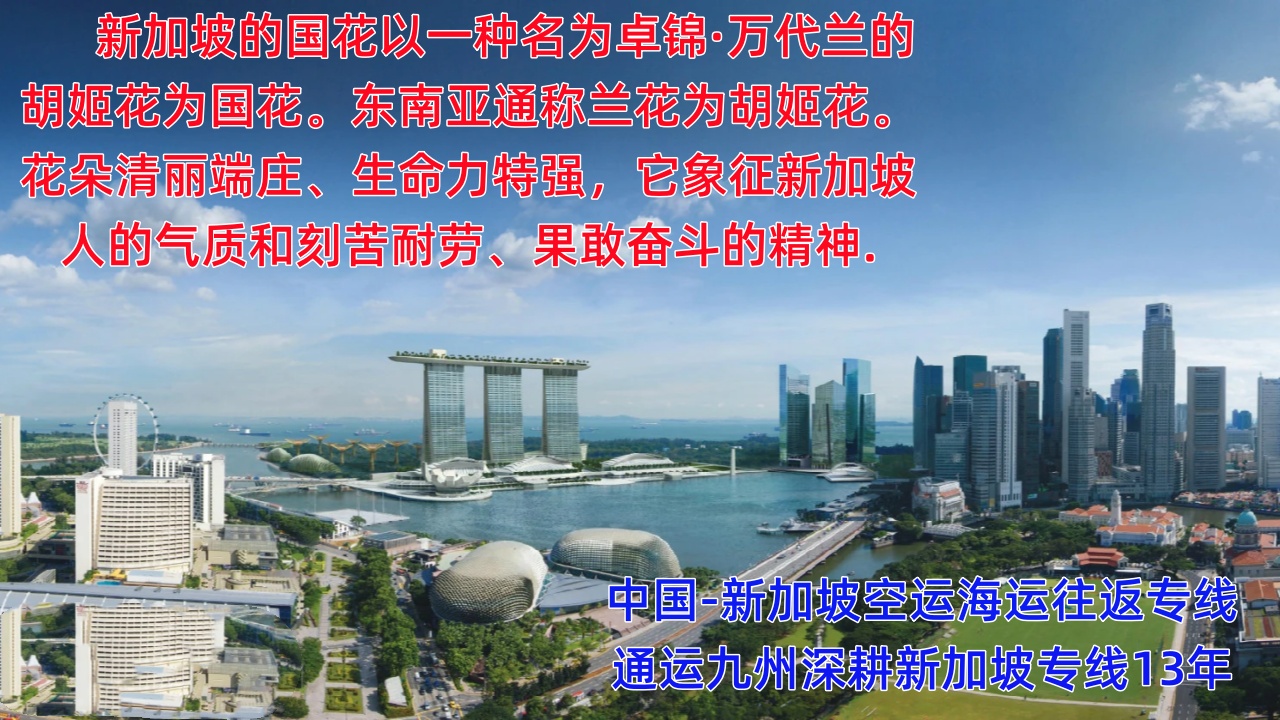 提供廣州到新加坡海運(yùn)服務(wù)，供應(yīng)廣州到新加坡空運(yùn)服務(wù)，報價表你看看